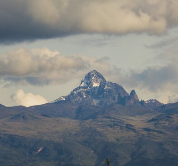 alcock-muller-3GEyU1IYfzM-unsplash