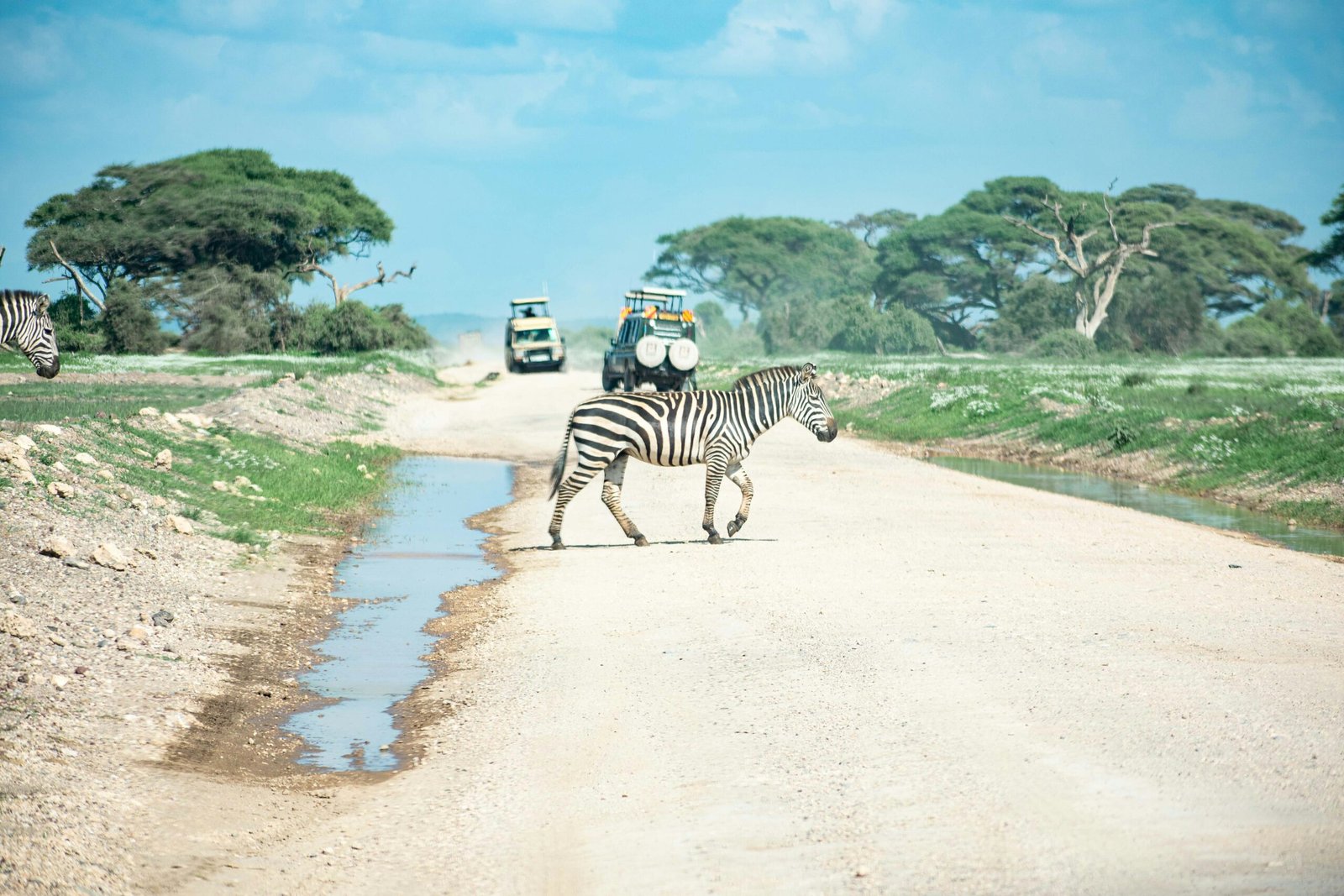 Wandra Group Game drive