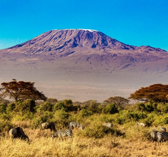 stephan-bechert-xQWelDCacZE-unsplash